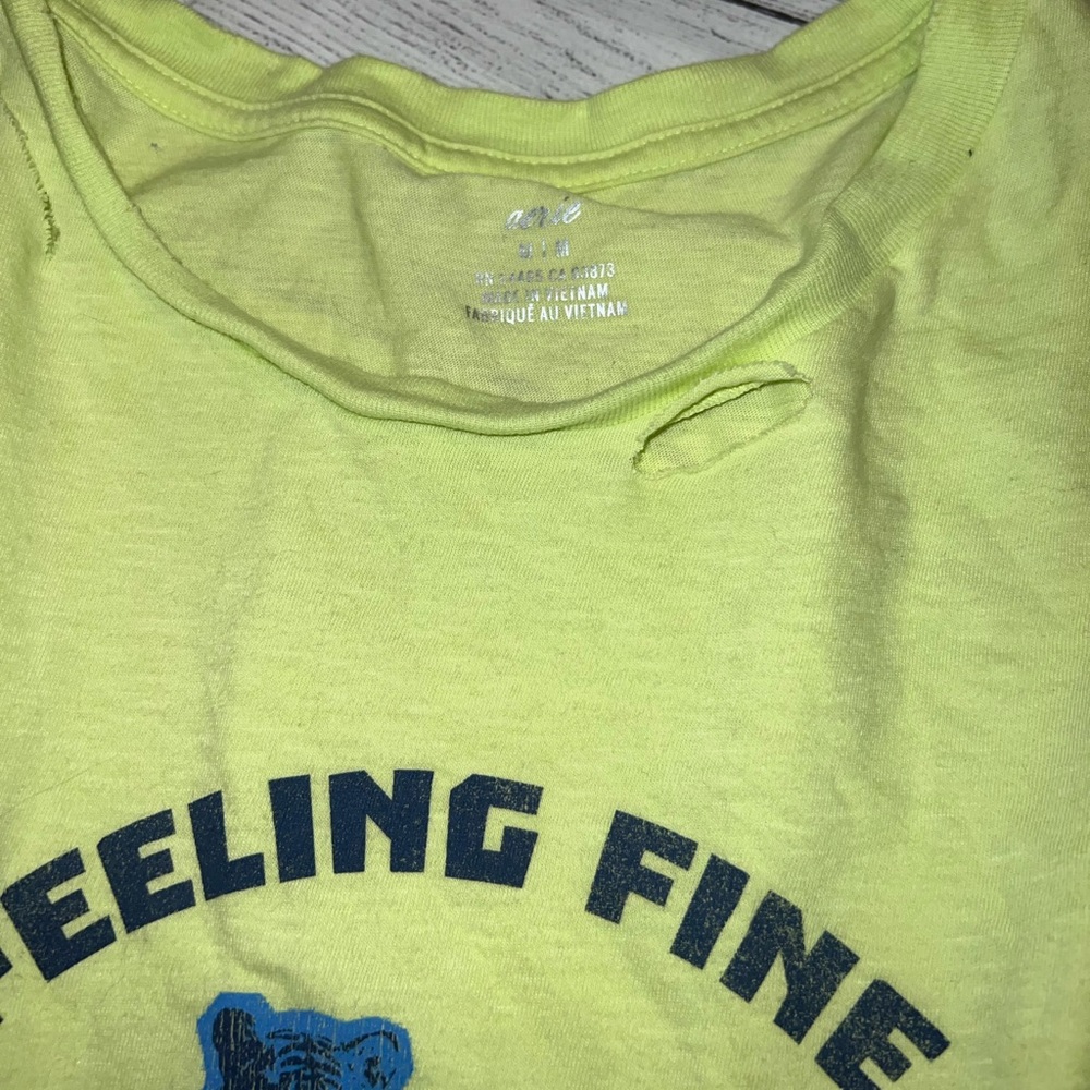 🍁🍃🍂Aerie feeling fine graphic destroyed t-shirt - Picture 3 of 6